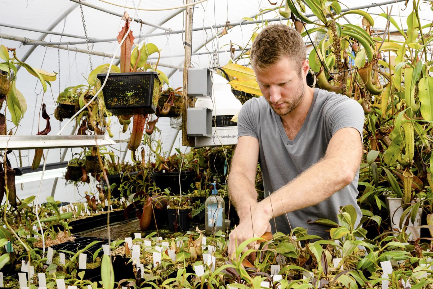 Trumansburg S Carnivorous Plants Ithaca Ithaca Com