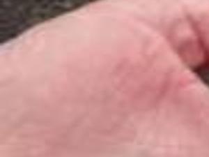 Reintroduced Lake Sturgeon Ready To Spawn In Cayuga Lake News Ithaca Com