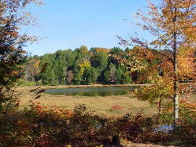 Lime Hollow Nature Center Cortland S Natural Habitat For