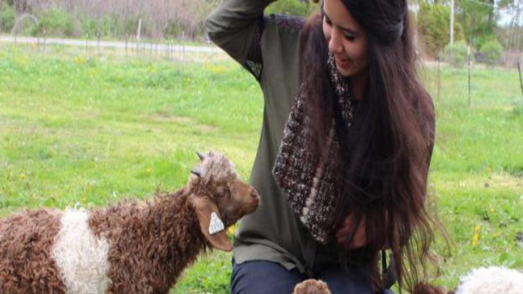 A Look Behind The Local Fiber Movement In Central New York