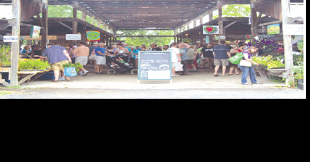 Farmers Market Exploring Downtown Comeback - Vimarsana News
