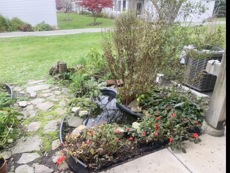 Kendal residents aim for climate impact through gardening | Ithaca