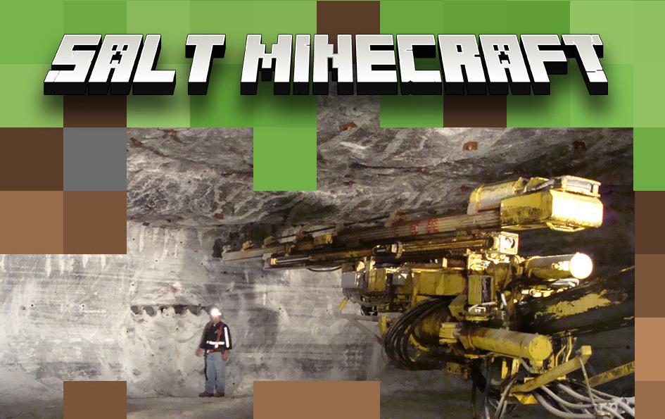 Salt Minecraft Lansing's largest taxpayer digs in Ithaca