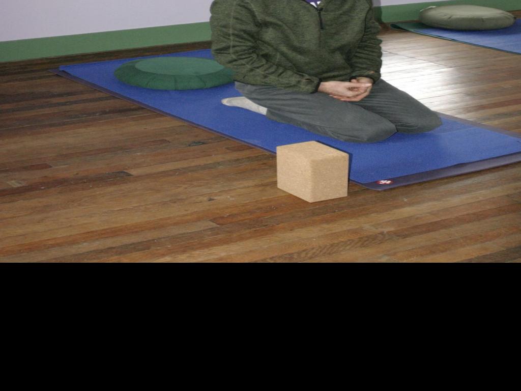 Lansing Yoga Farm Offers Gentler Practice News Ithaca Com