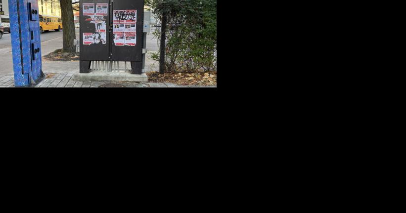"Kidnapped" Hostage Posters Vandalized in Ithaca Commons, Then Removed | Ithaca - Vimarsana News