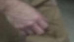 Ithaca S Not So Mystic Pizza Our Critics Pass Judgement Entertainment Ithaca Com