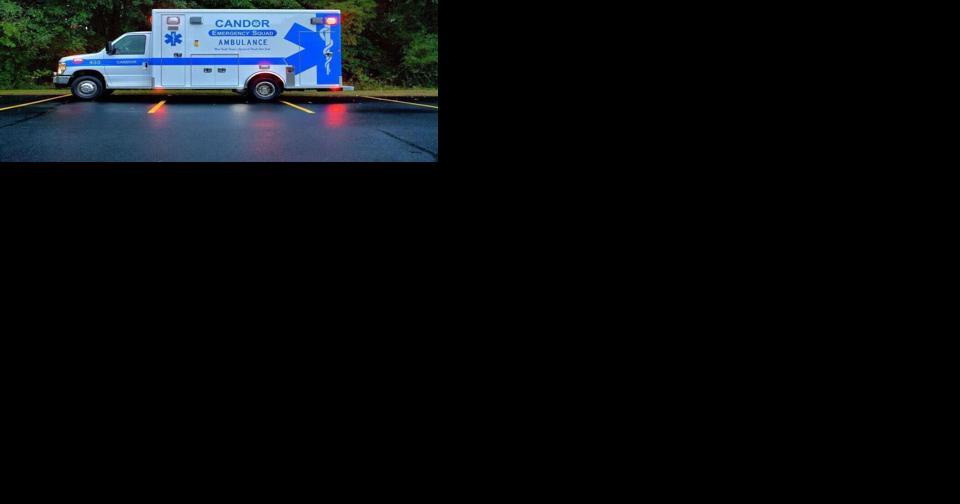 Candor Board Gets EMS Year Report - Vimarsana News