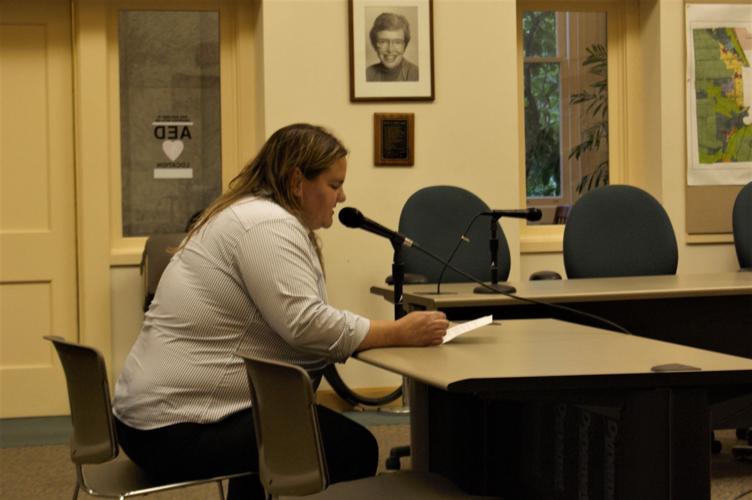 Regulations could be coming for Town of Ithaca Airbnbs Ithaca