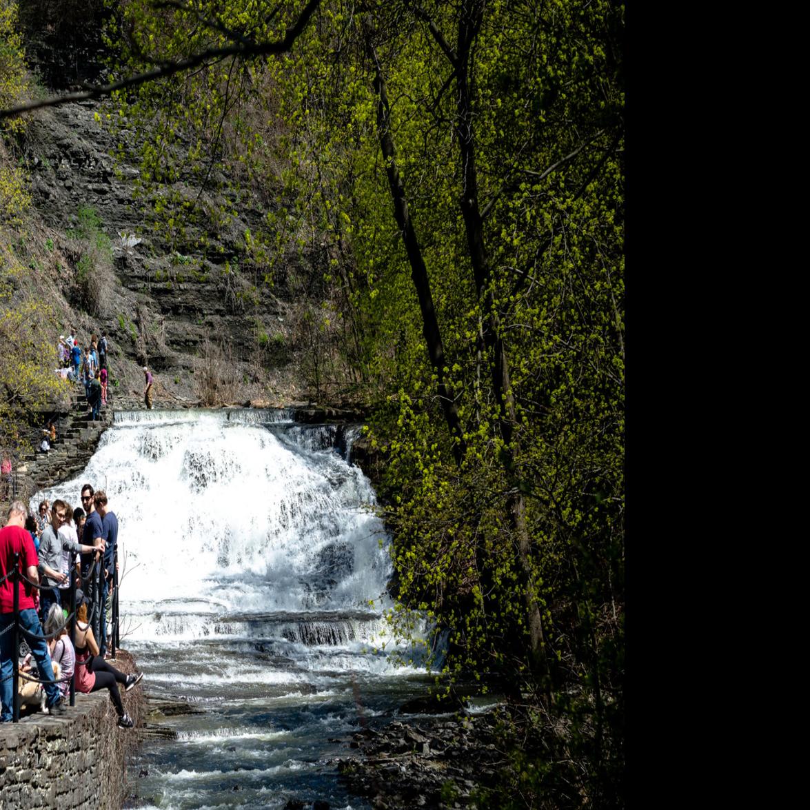 Best Of Ithaca 2018 Places Best Of Ithaca Ithaca Com