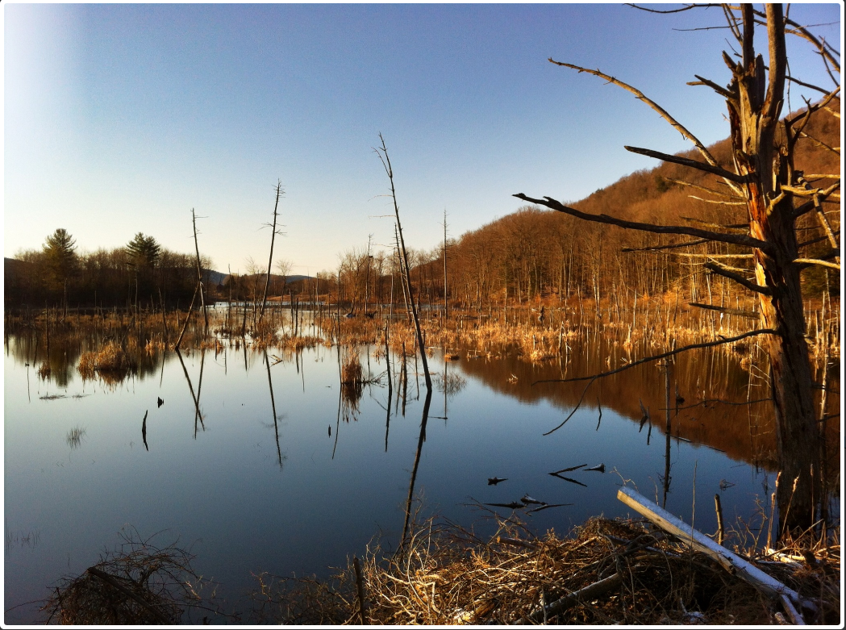 New trail website guides hikers through Tompkins County Tompkins