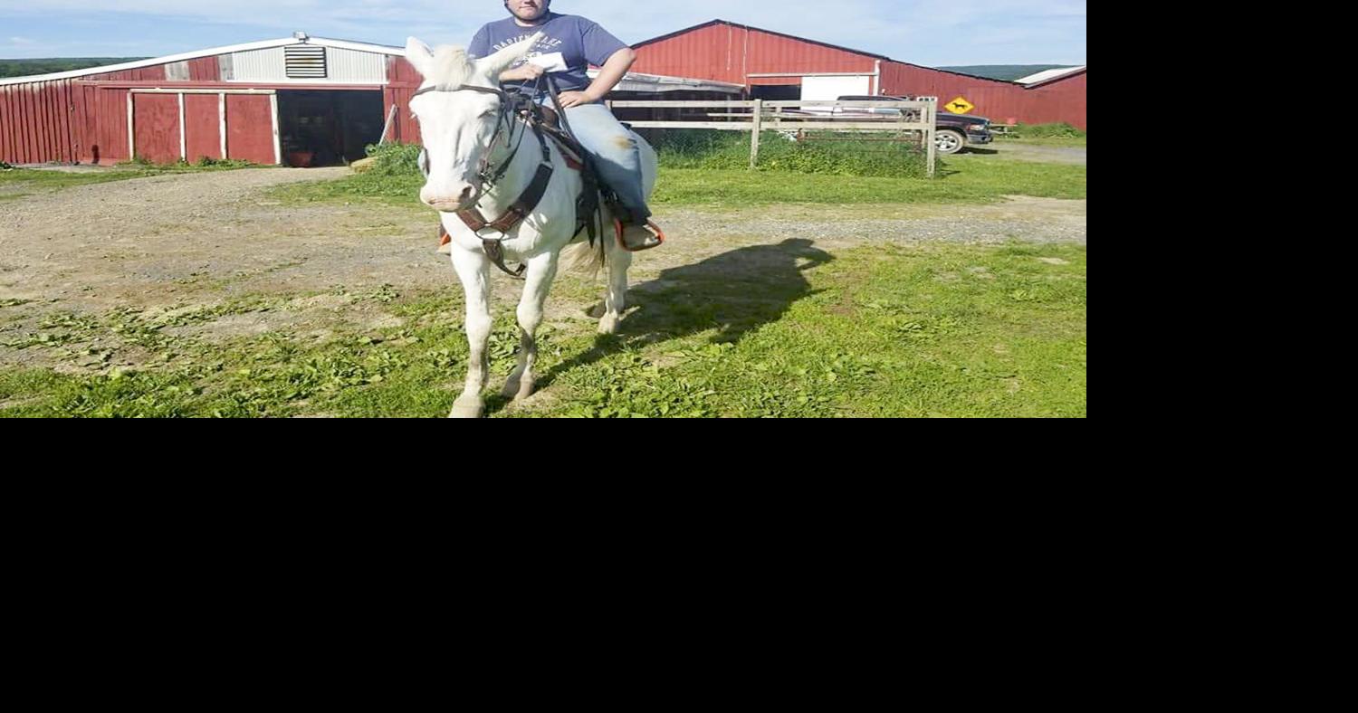 From cowhide to horseback Steve Lawrence
