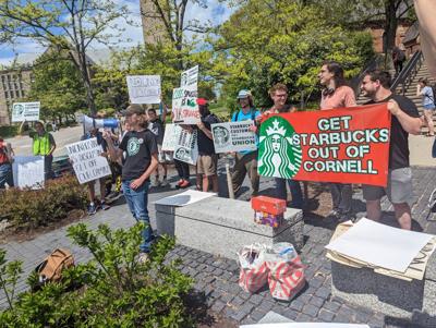 Cornell Students Protest to Kick Starbucks Off Campus