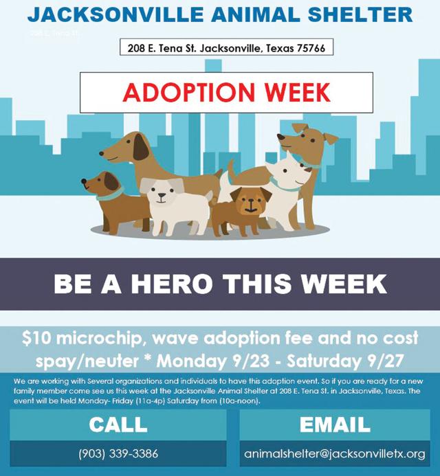 Jacksonville Animal Shelter pets available for viewing online News