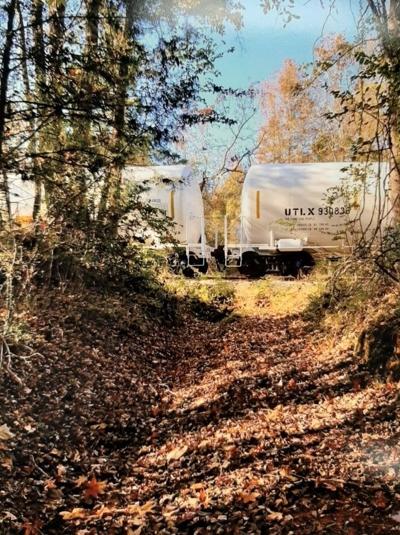 Rusk Welcomes Harry S Building Materials News Jacksonvilleprogress Com