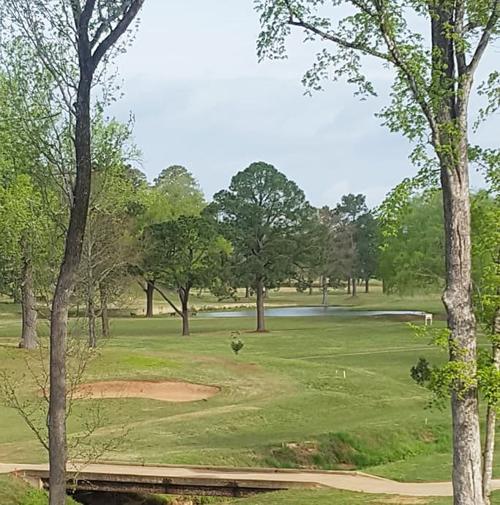Team of Luna, Pfeiffer, Pittillo and Moore win weekly senior scramble