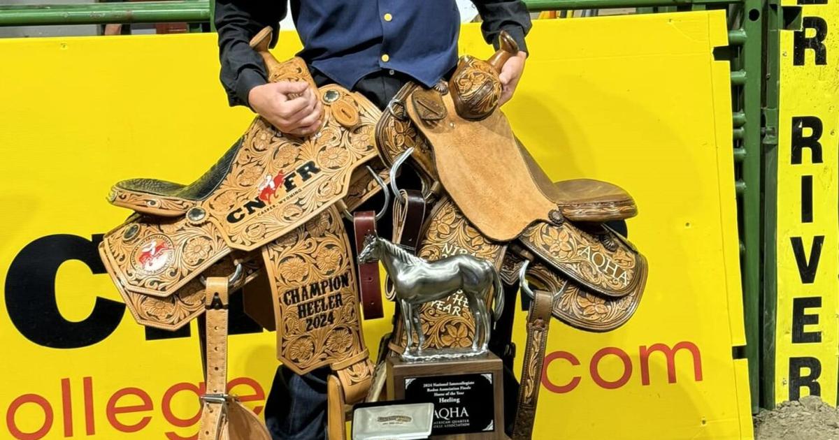 Kaden Profili wins roping championship at College National Finals Rodeo ...