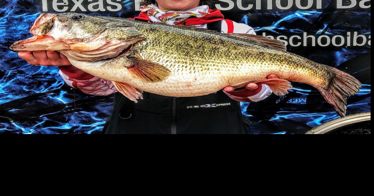 Lunker Parade: Fairy tale run on whopper bass spurs boat load of new  records, Sports