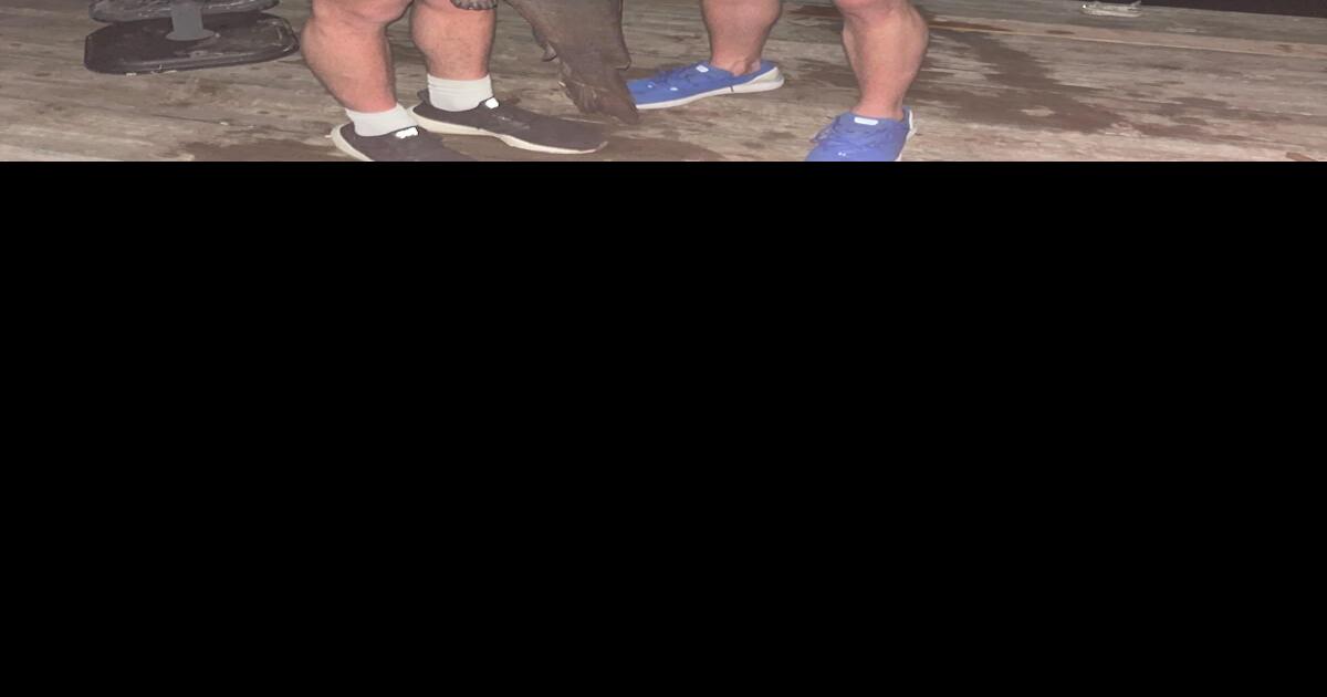 Livingstone brothers reel in a huge catfish on Lake Jacksonville