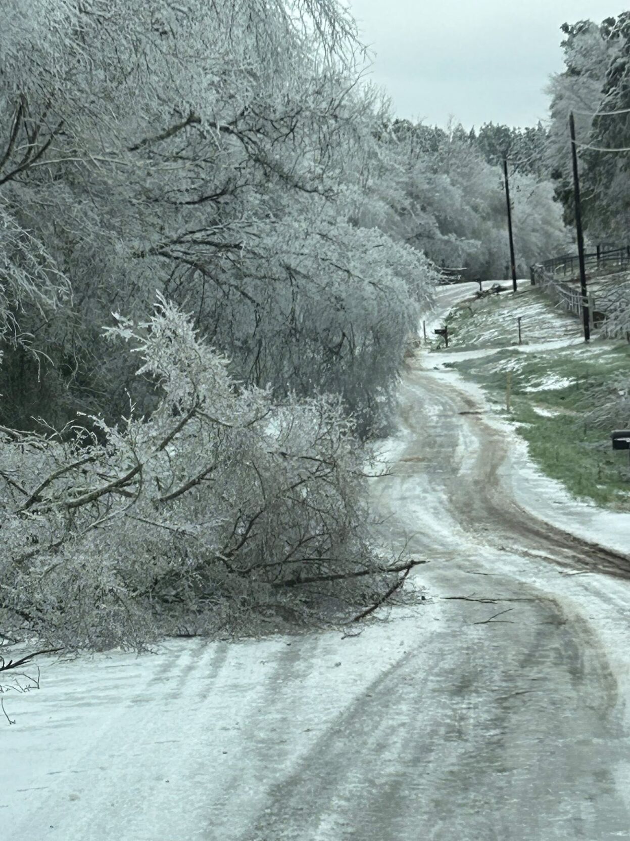 Winter weather causes downed trees, power outages | Local News ...