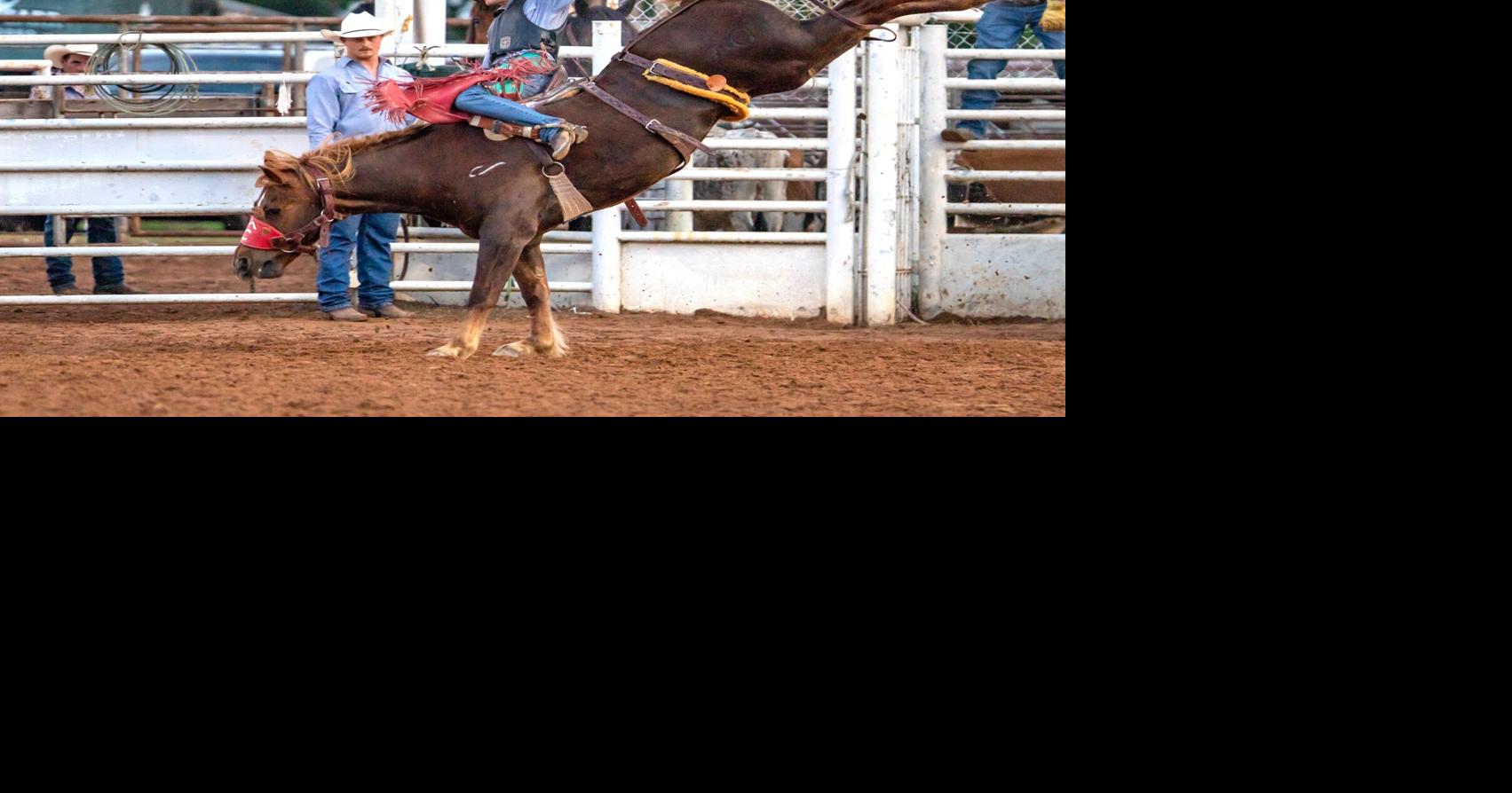 Local rodeo depends on Carr team | Local News | jacksonvilleprogress.com
