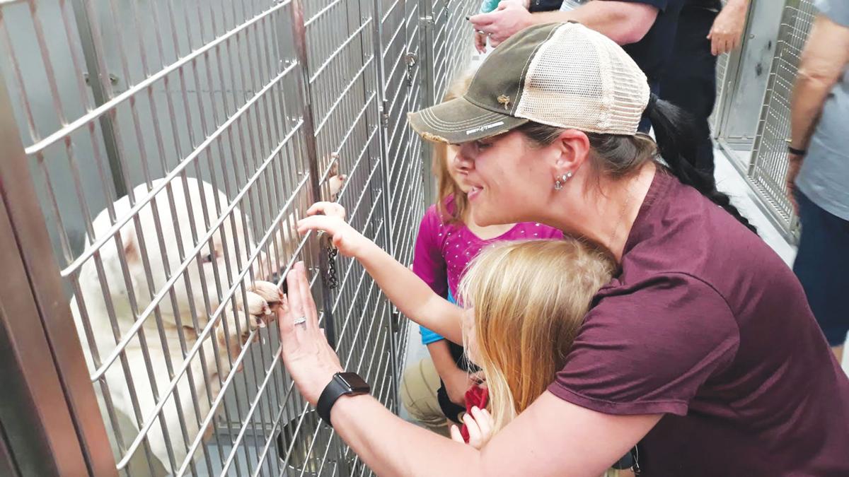 New Jacksonville Animal Shelter holds grand opening News