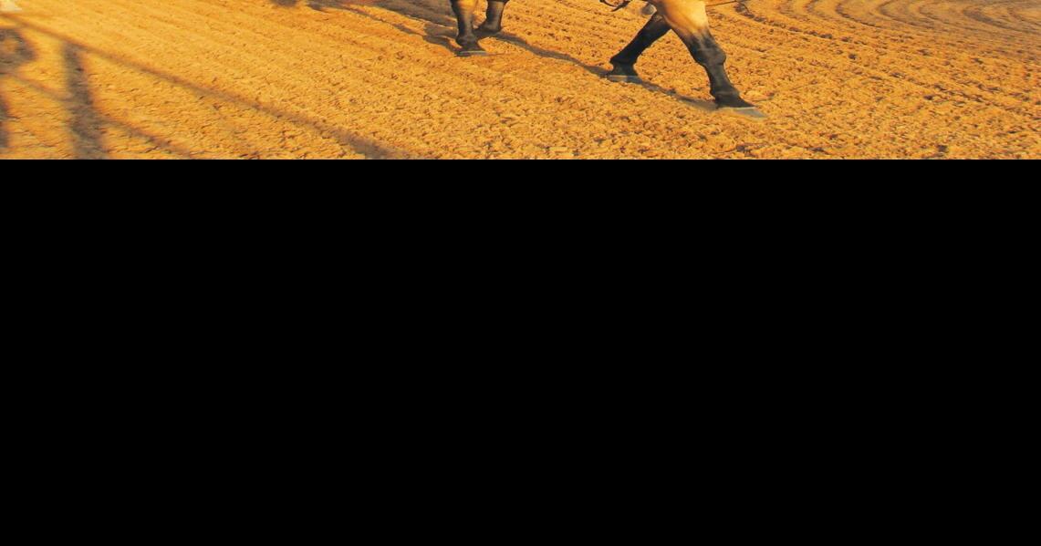 60th annual Tops in Texas Rodeo riding into Jacksonville News