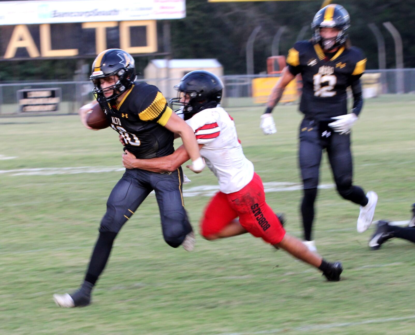 Alto Blank HullDaisetta 550 Almond Shines with 4 TDs BVM Sports