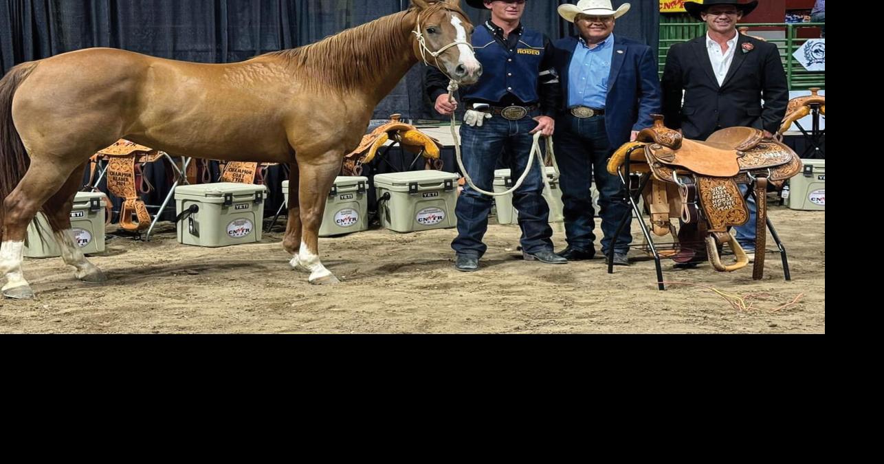 National Finals Rodeo: Kaden Profili to compete for team roping (heeler ...