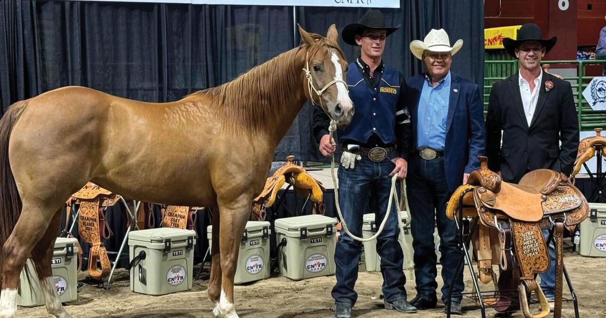 National Finals Rodeo: Kaden Profili to compete for team roping (heeler ...