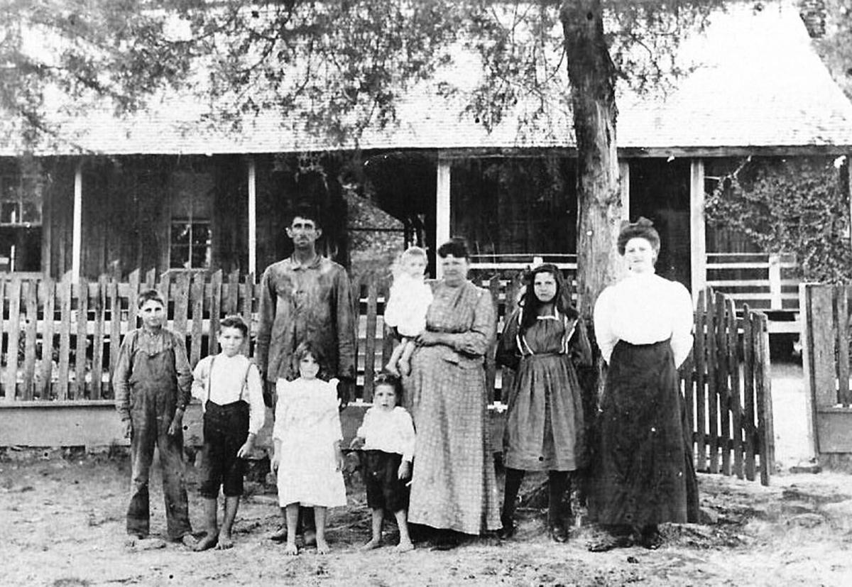 The Massey Family Growing Tomatoes in Sugar Sand News