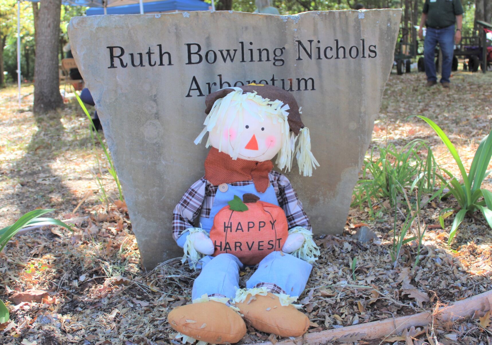 Scarecrow Trail Opens, Winners Announced | Local News ...