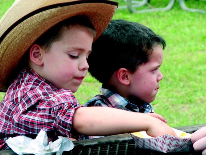 Gallatin GopherFest: ‘Good, clean fun’ honors the city’s former school ...