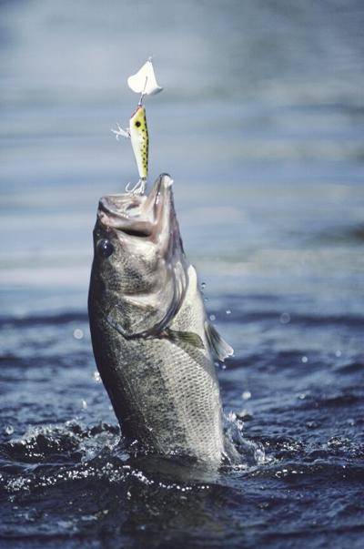 No Fishing License Day In Texas 2022