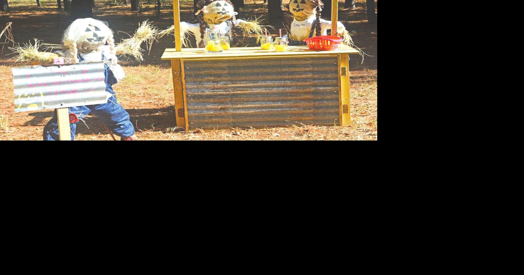 Fall Scarecrow Trails a delight for all Community