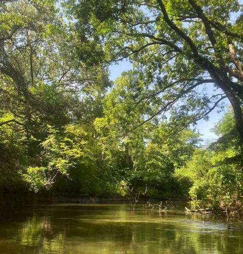 Upcoming Neches Wilderness Canoe & Kayak Race in need of volunteers