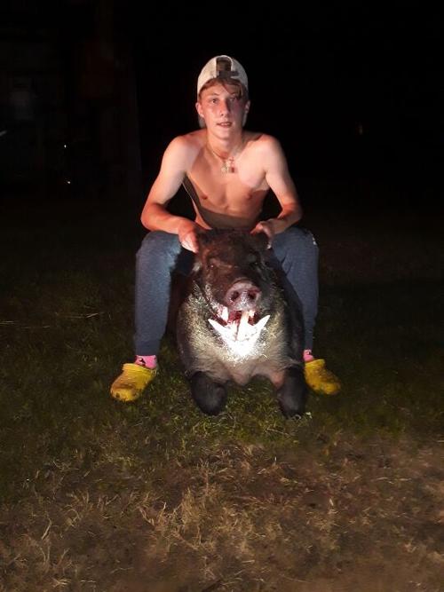 Things that go bump in the night