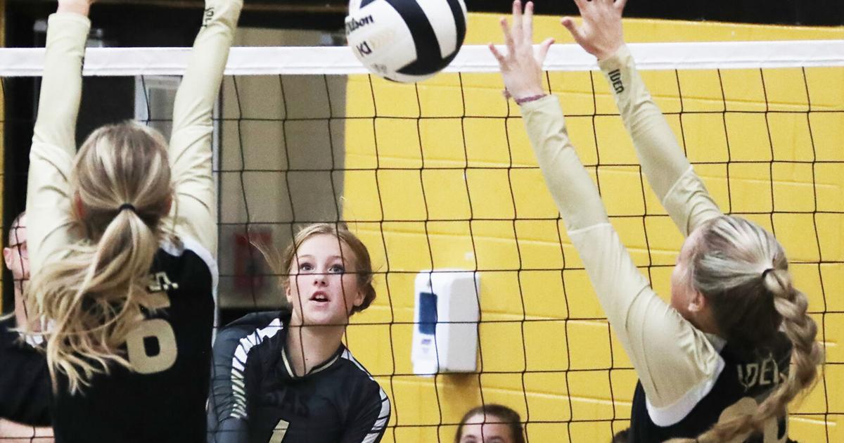 JCSentinel.com - VOLLEYBALL ROUNDUP: Scottsboro goes 1-2 at quad match image