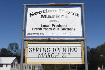 Mennonites Spring Market opening March 31