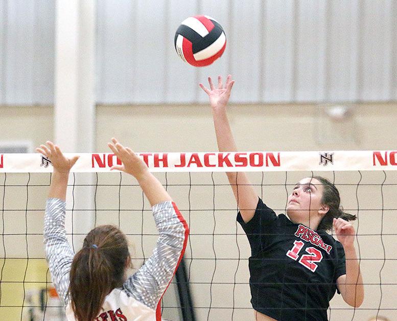 JCSentinel.com - Pisgah repeats as Jackson County Tournament champ image