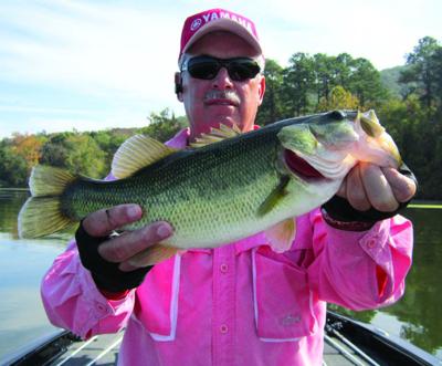 Get your digital copy of The Bass Angler-Issue 46 issue