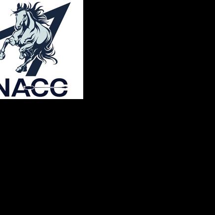 NACC softball players receive national honors