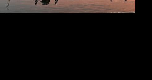 Upcoming anglers tournaments at Goose Pond Colony - Vimarsana News