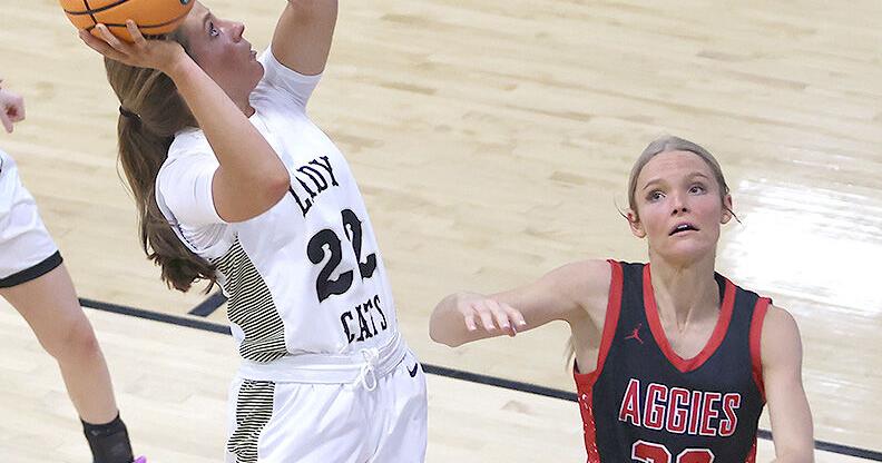 JCSentinel.com - GIRLS BASKETBALL ROUNDUP: Dawson, Nelson lead Wildcats to season-opening victory image