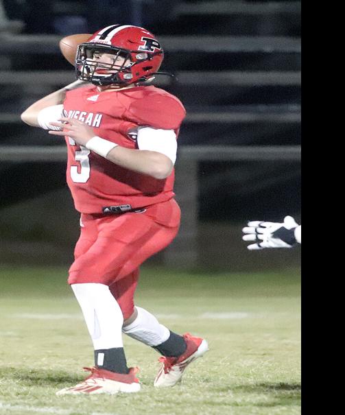 JCSentinel.com - Pruitt excited with Pisgah’s spring performance image