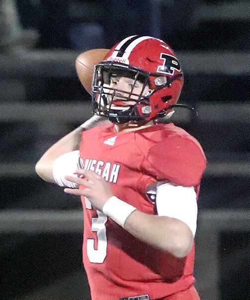 JCSentinel.com - Pruitt excited with Pisgah’s spring performance image
