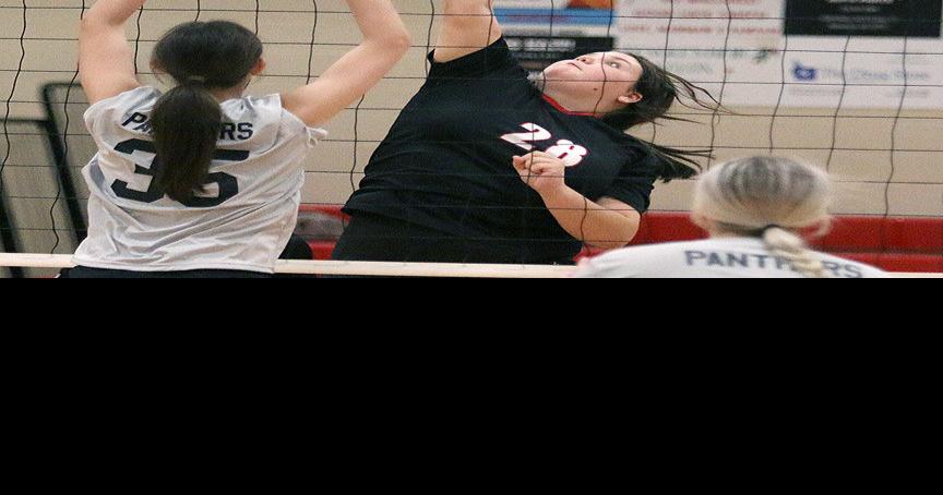 JCSentinel.com - VOLLEYBALL ROUNDUP: North Jackson hands No. 10 Woodville its first loss image