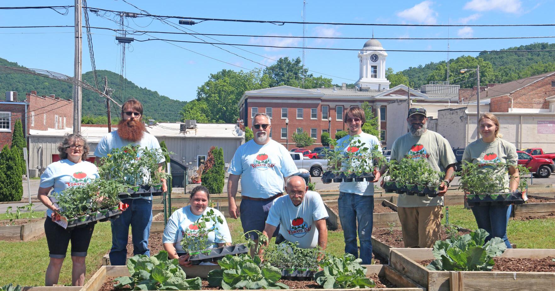 Tomato Day gives Drug Court members reminder of hope - Vimarsana News