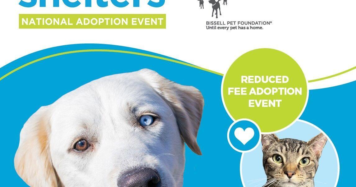 Onslow County Animal Services to participate in Empty the Shelters