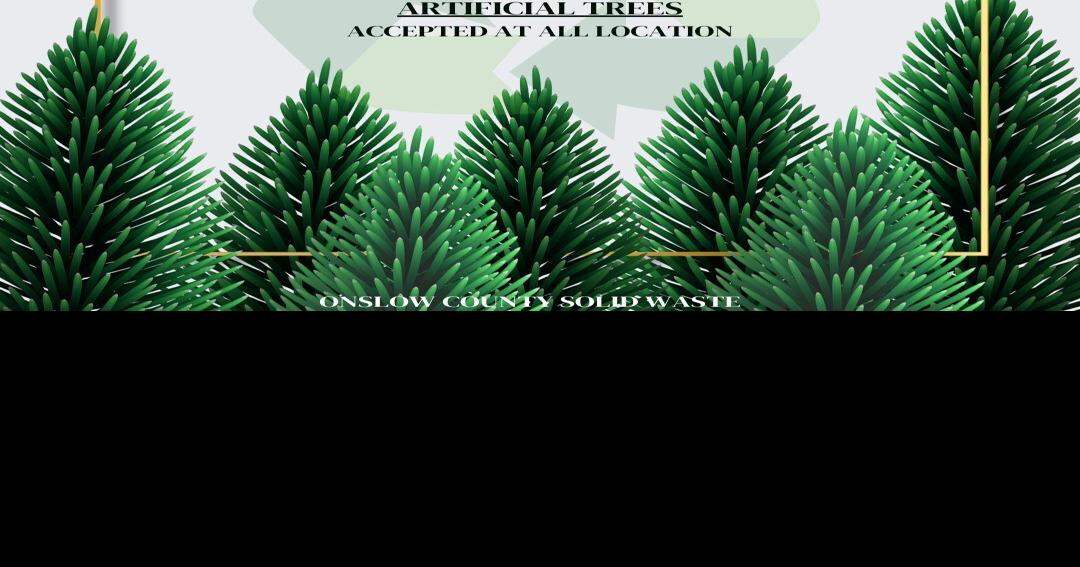 With Christmas now over, here's how and where to dispose of your live