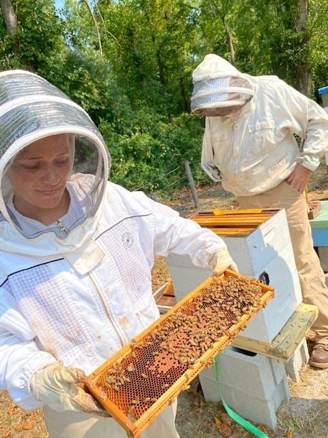 Beekeeping  N.C. Cooperative Extension